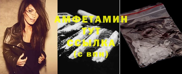 сатива Беломорск