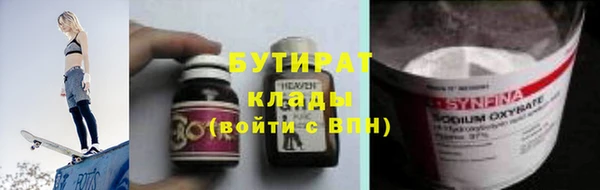 сатива Беломорск