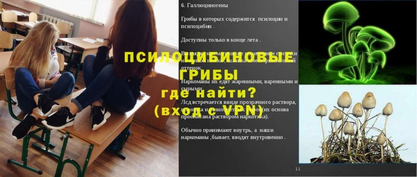 сатива Беломорск