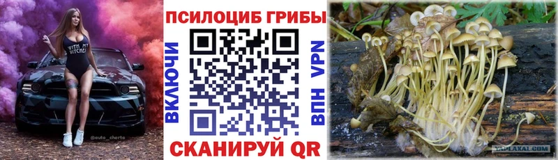 Галлюциногенные грибы Magic Shrooms  Волосово 